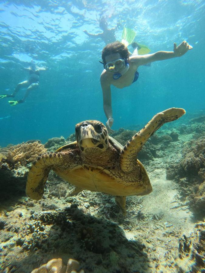 Gili Meno Mojo Beach Resort Экстерьер фото