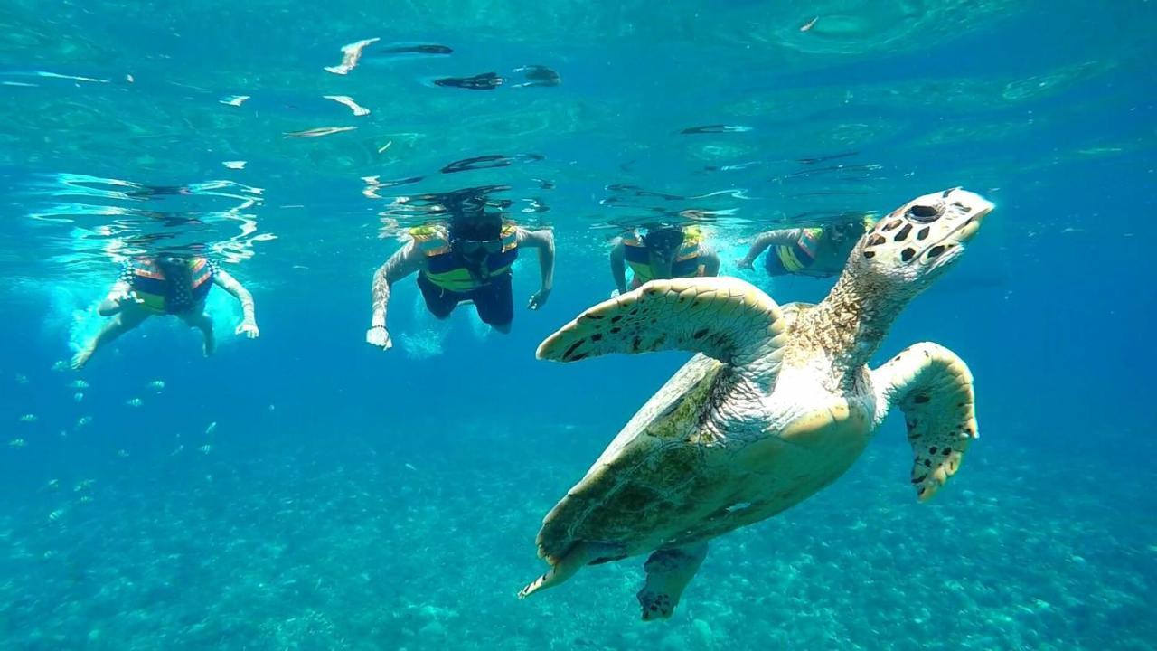 Gili Meno Mojo Beach Resort Экстерьер фото